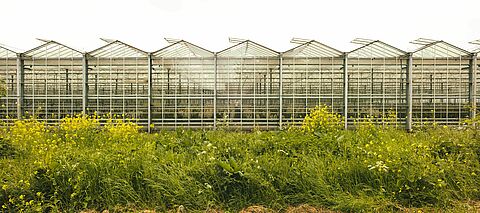 Biodiversity: Research into our positive impact on nature