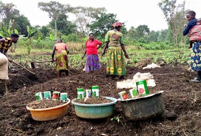 A year of impact for the Koppert Foundation