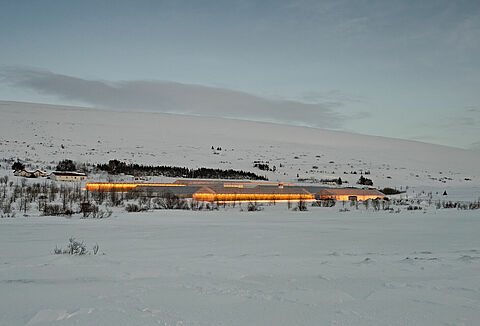 Artificially lit crops pollination advice