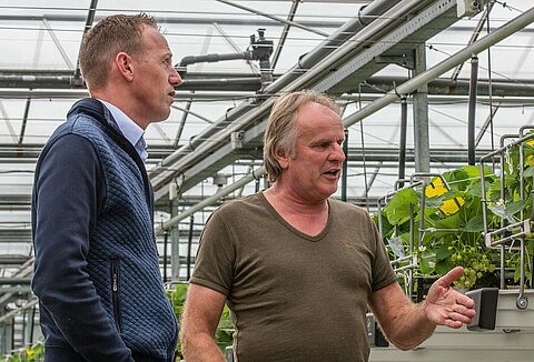Strategisch partnerschap Koppert Biological Systems en Fragaria Innova