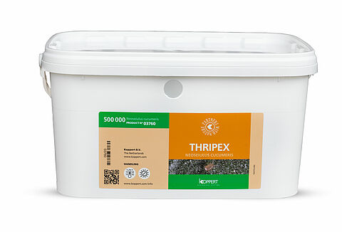 Thripex в новом формате