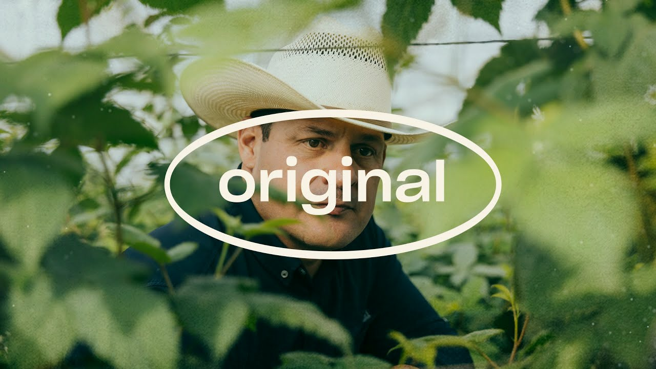How Fernando Rodríguez’s vision on sustainable production led him to Koppert - Original Stories How Fernando Rodríguez’s vision on sustainable production led him to Koppert - Original Stories