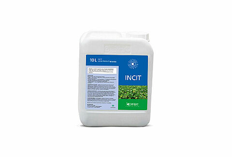 Incit