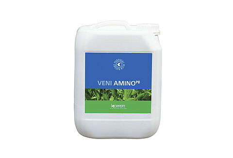 Veni Amino PB