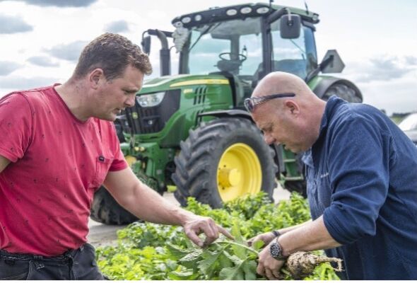 Vienmērīga dīgšana un mazāk zaudētu augu, pateicoties Trianum