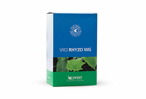 Vici Rhyzo WG