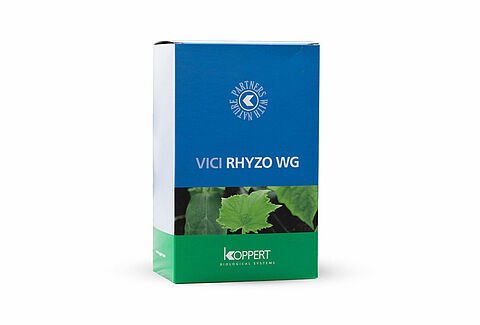 Vici Rhyzo WG
