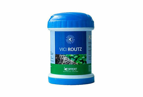 Vici Routz SP