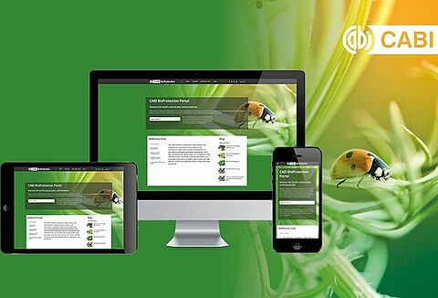 CABI BioProtection Portal now available in Spain