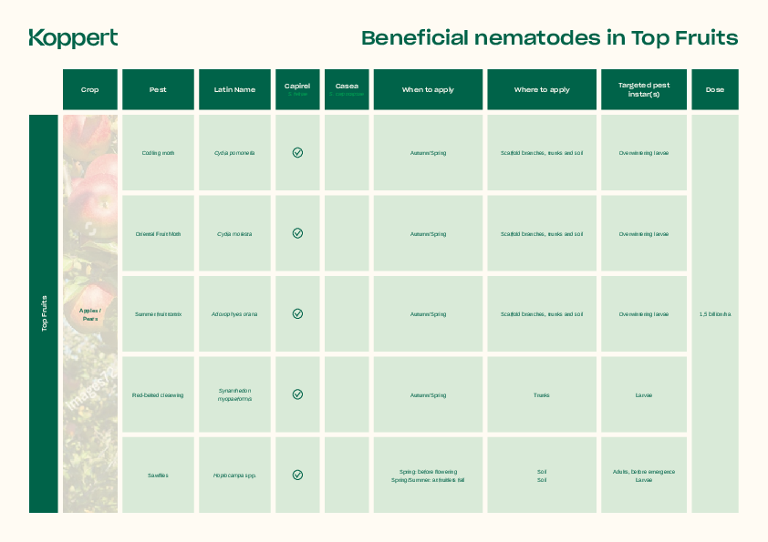Target pests of beneficial nematodes in Top Fruits