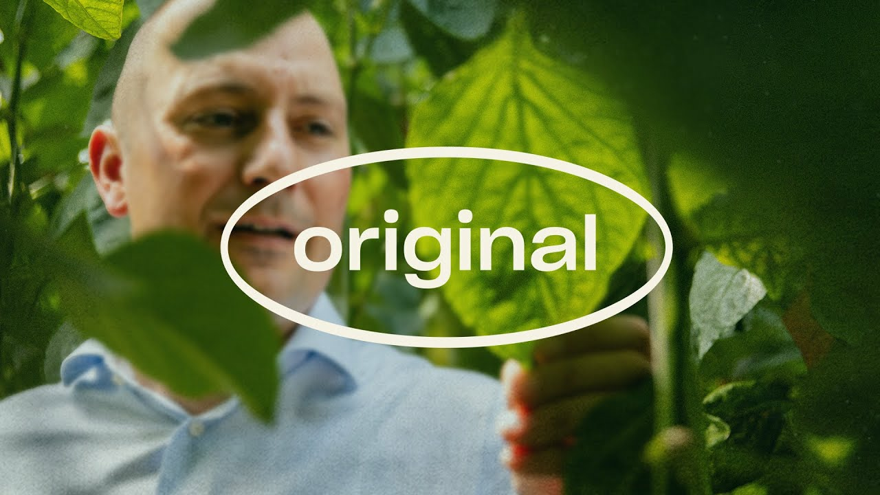 Original stories- René Koppert Original stories- René Koppert