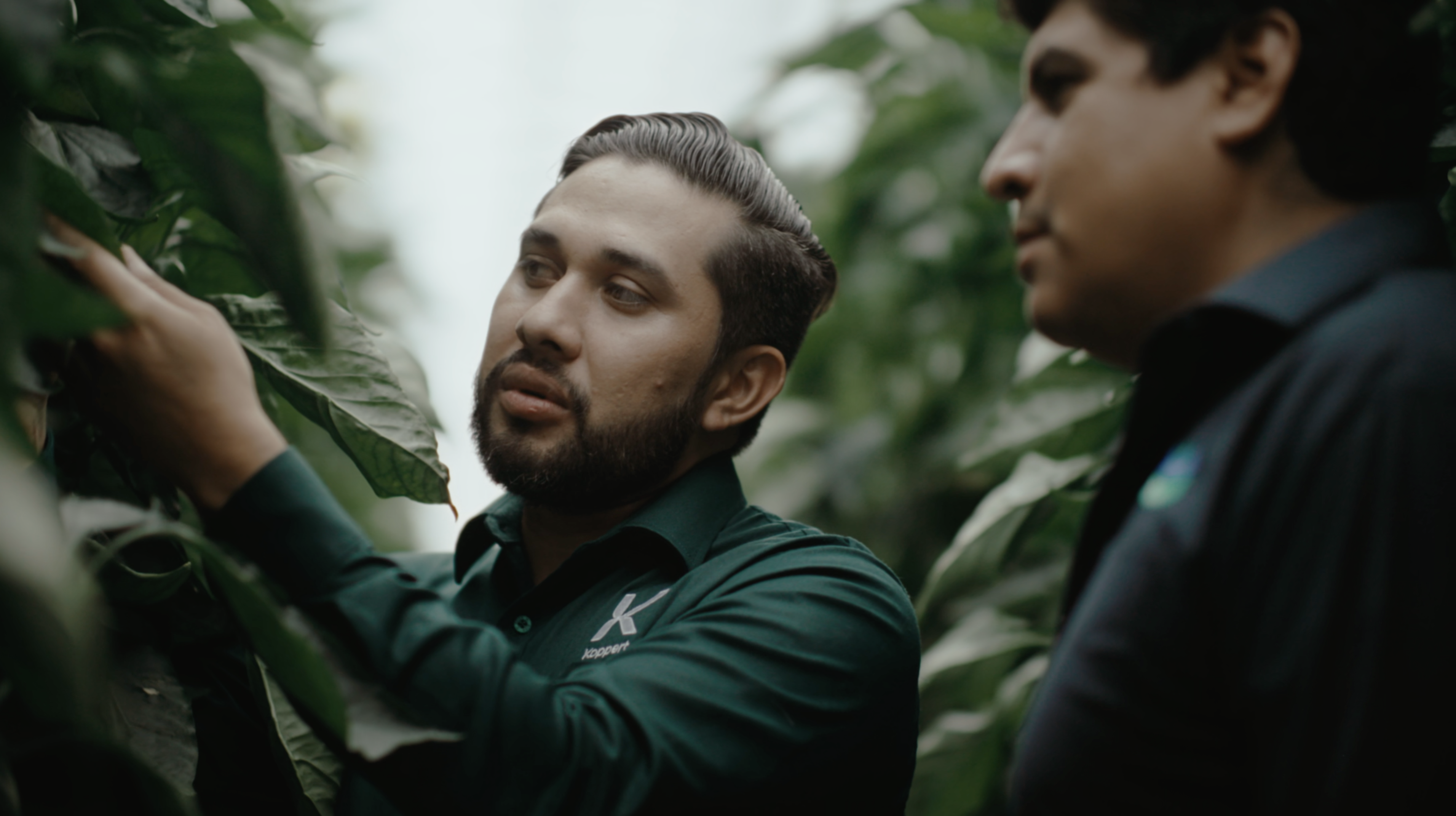 La Hacienda Fresh increases crop profitability thanks to biological control